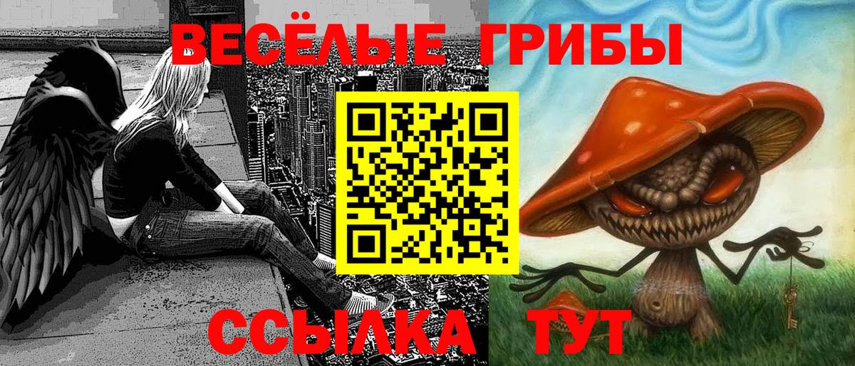 Галлюциногенные грибы Magic Shrooms Скопин