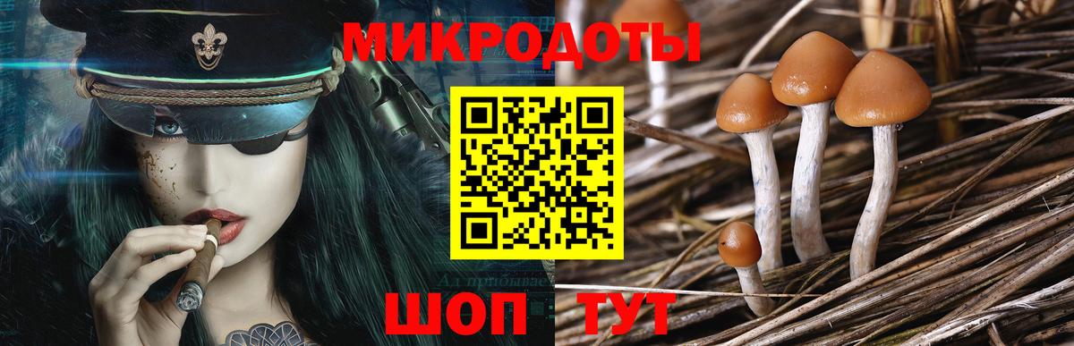 Галлюциногенные грибы Psilocybine cubensis  Вход с VPN  Скопин 