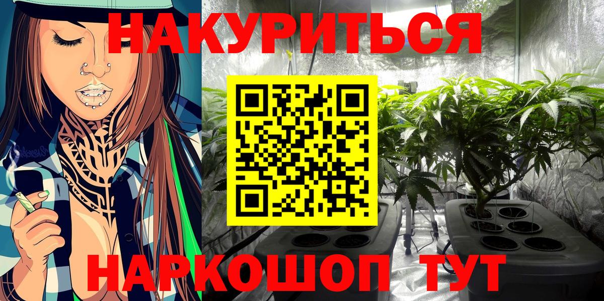 Бошки Шишки семена  Канабис семена  Вход с VPN  Канабис White Widow  Скопин 